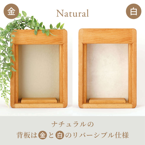 【手元供養 ステージ】cocohaシリーズ2way ハウス/グリーン NS004