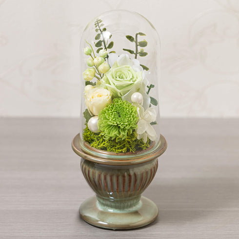 【お花】白雨T(はくう) SB65