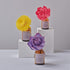【癒し】Sola Palette Diffuser SBS04