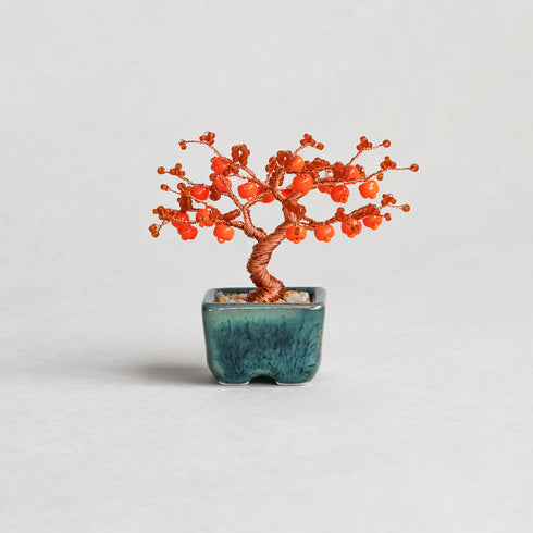 【いのり折々】nejitte BONSAI SB94