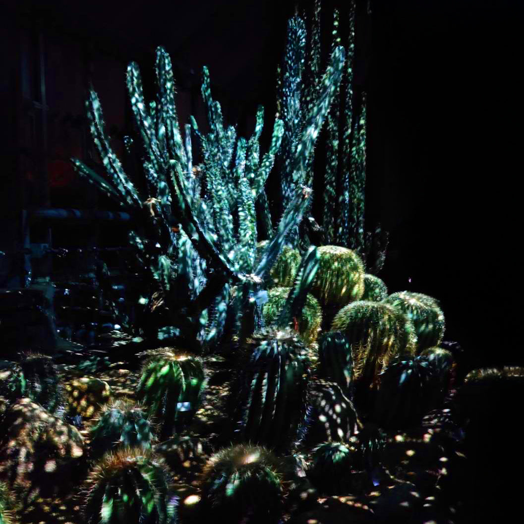 京都府立植物園 夜間開放イベント「LIGHT CYCLES KYOTO」 – 祈り百貨店