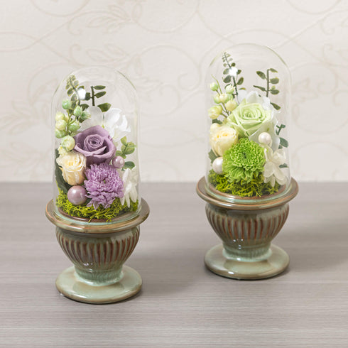 【お花】白雨T（はくう） SB65