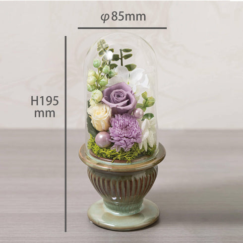 【お花】白雨T（はくう） SB65