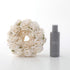 【お花】SOLA FLOWER Elegant Wreath  SBS01