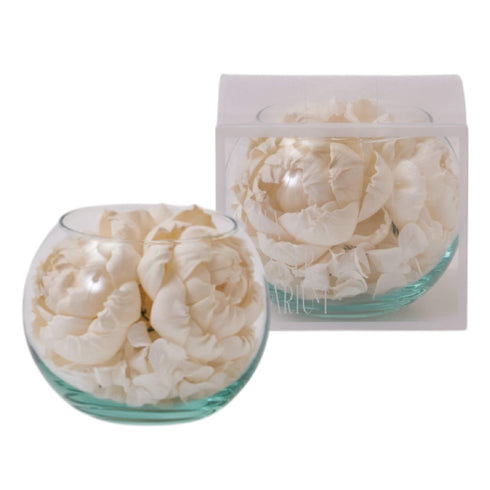【お花】SOLA FLOWER Solarium SBS02