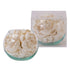 【お花】SOLA FLOWER Solarium SBS02