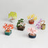 【いのり折々】nejitte BONSAI　SB94