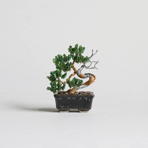 【いのり折々】nejitte BONSAI　SB94