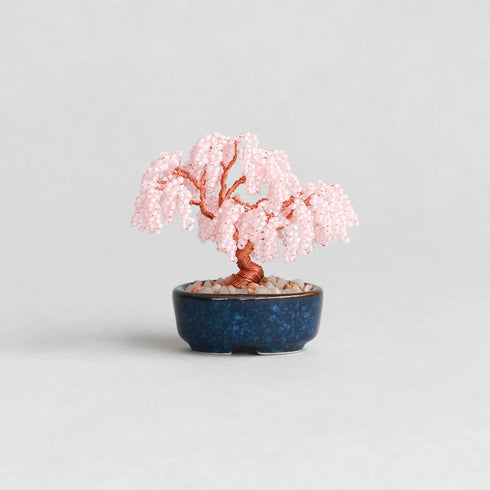 【いのり折々】nejitte BONSAI　SB94