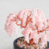 【いのり折々】nejitte BONSAI　SB94