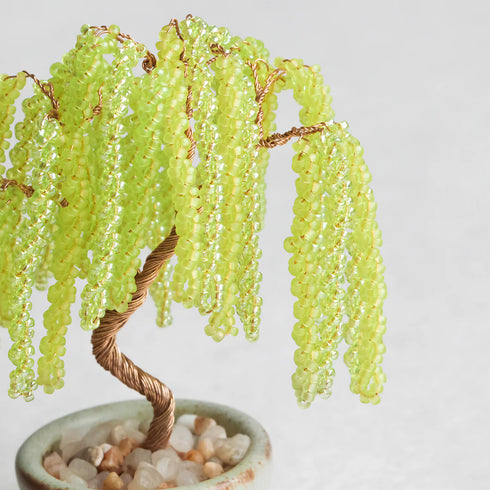【いのり折々】nejitte BONSAI　SB94