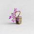 【いのり折々】nejitte BONSAI　SB94